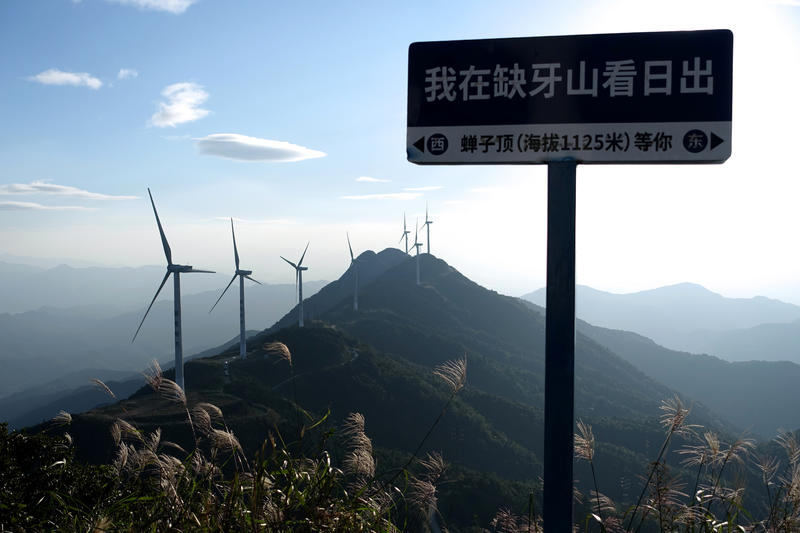 大自然的小玩意，大风车（索尼黑卡rx100 - 82）