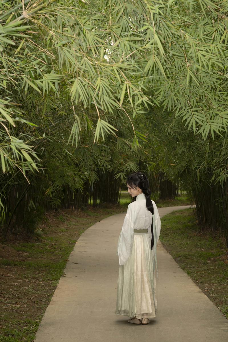 初夏的斑竹林