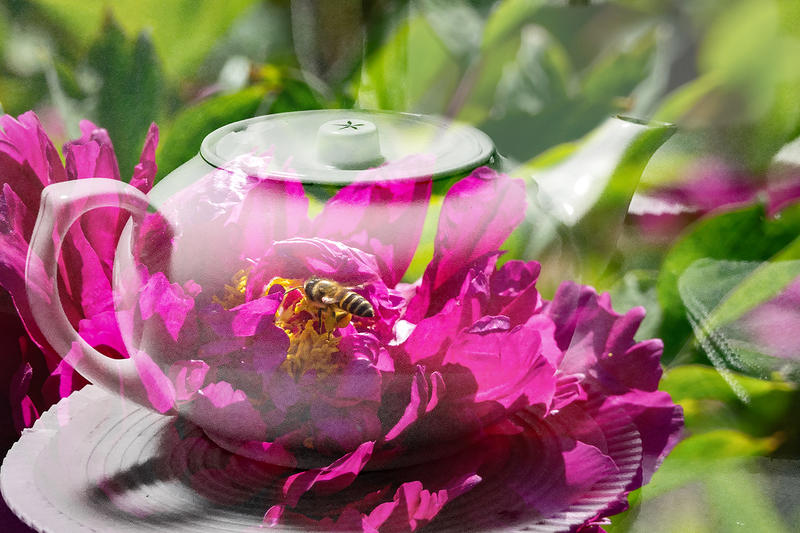 一组多曝片子