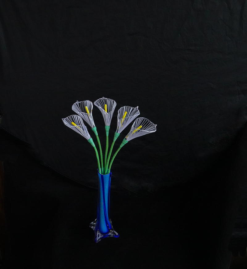 衍纸花随拍