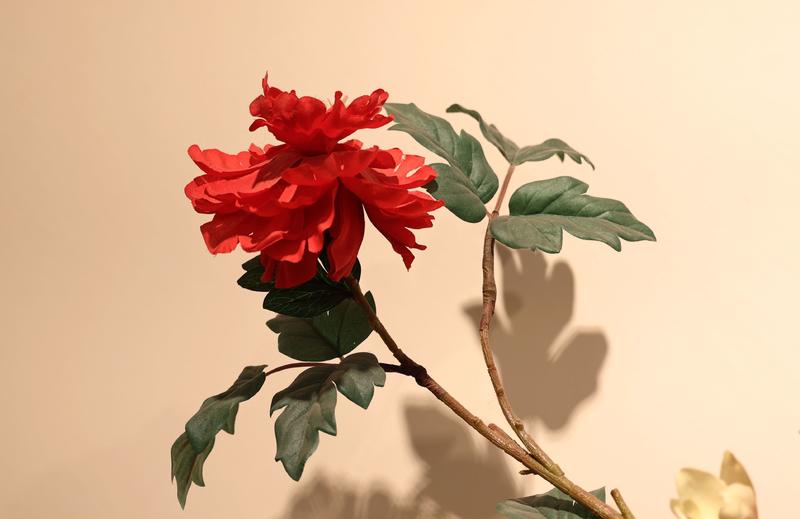 花卉大观园的花儿，