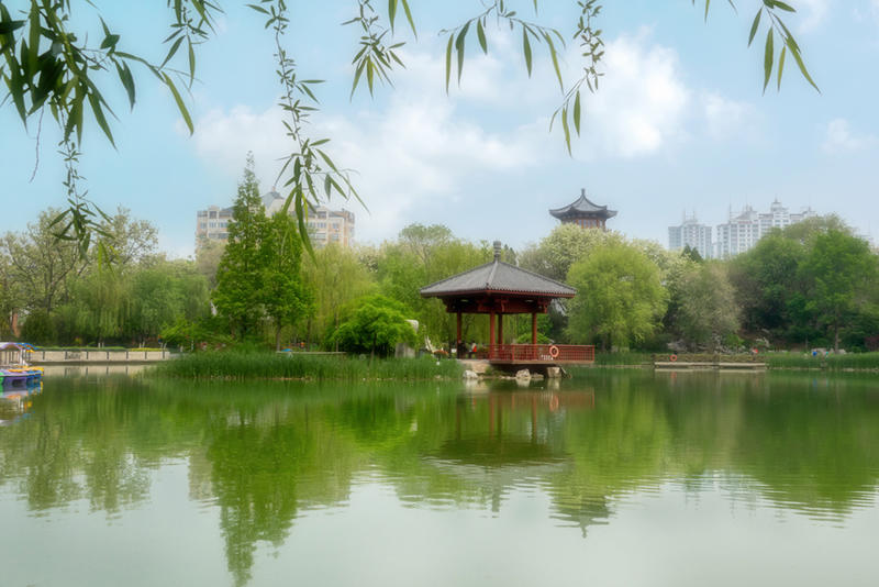 公园里的小景
